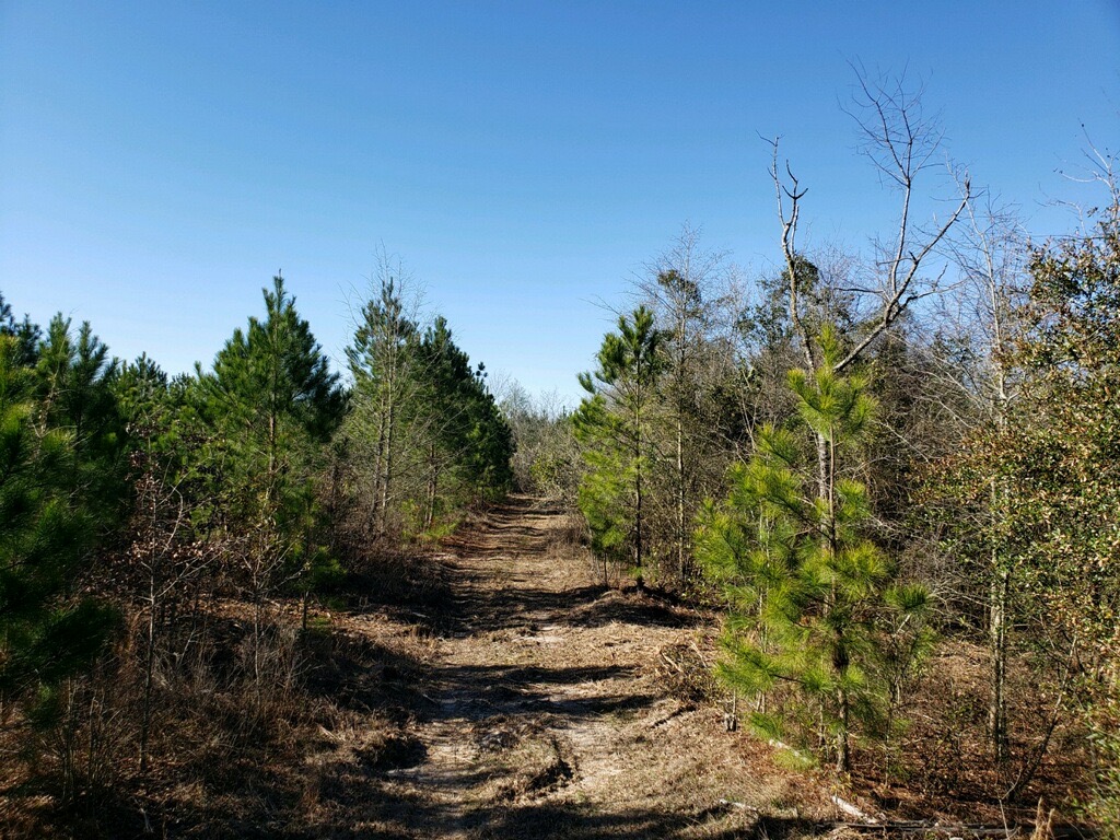 Honeysuckle Estates Corydon In at Ruben King blog